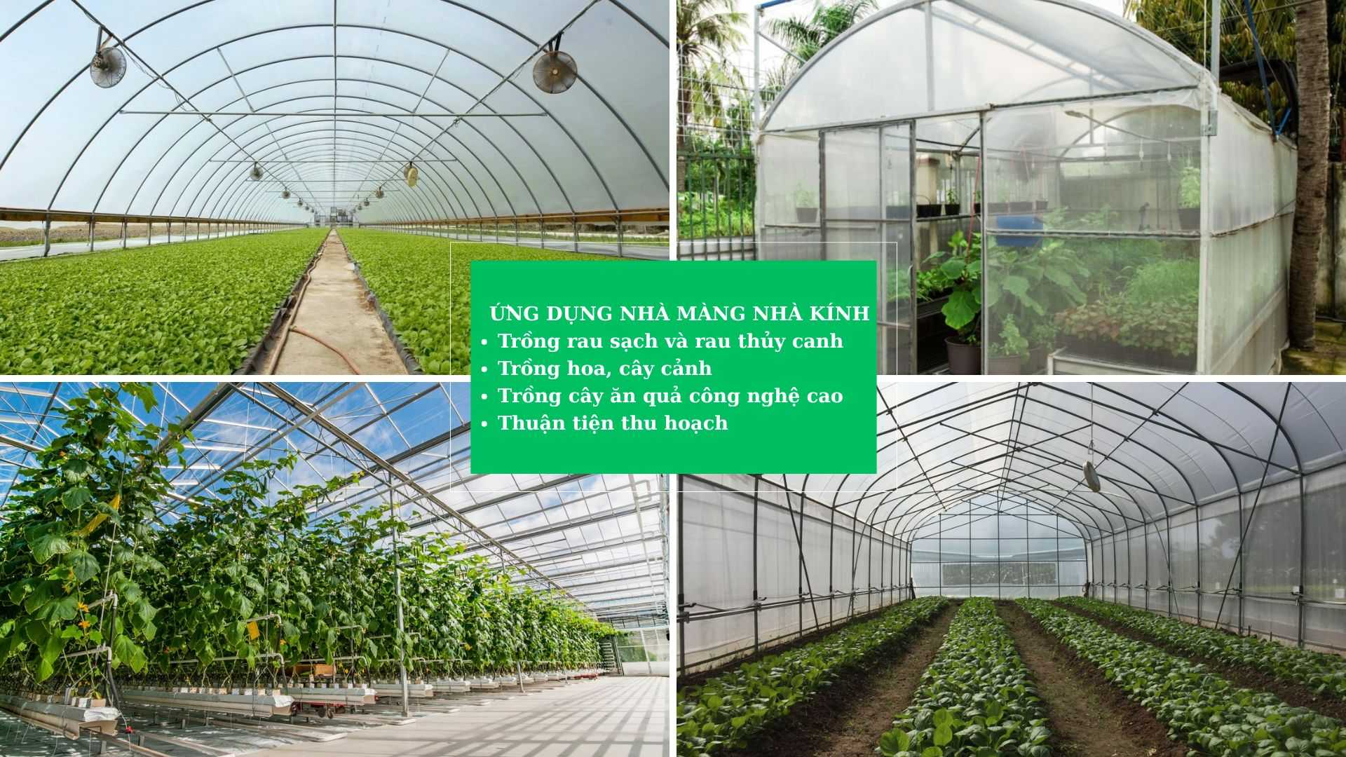 Ứng dụng thực tế của nhà màng nhà kính