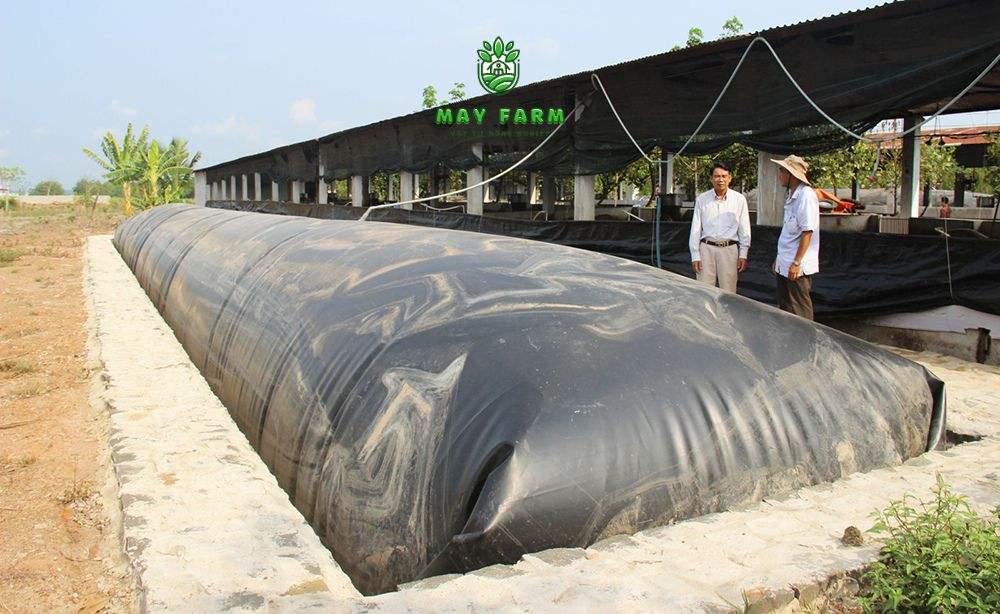 Nâng cao năng suất trang trại