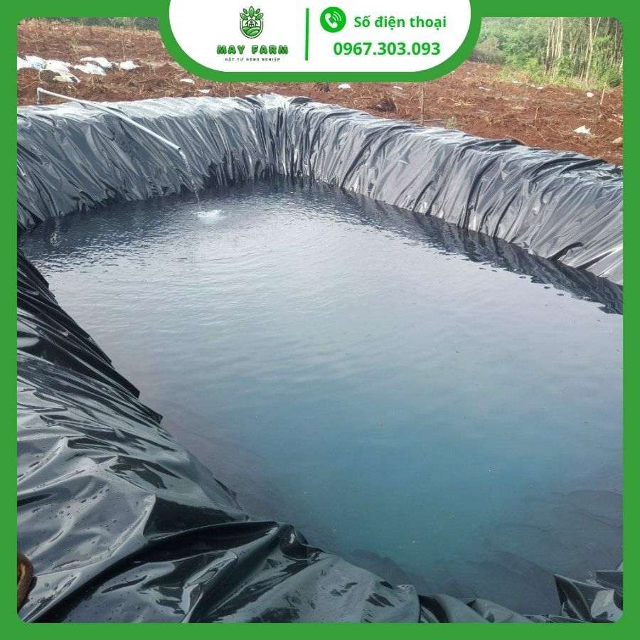 Bạt lót hồ cá HDPE 