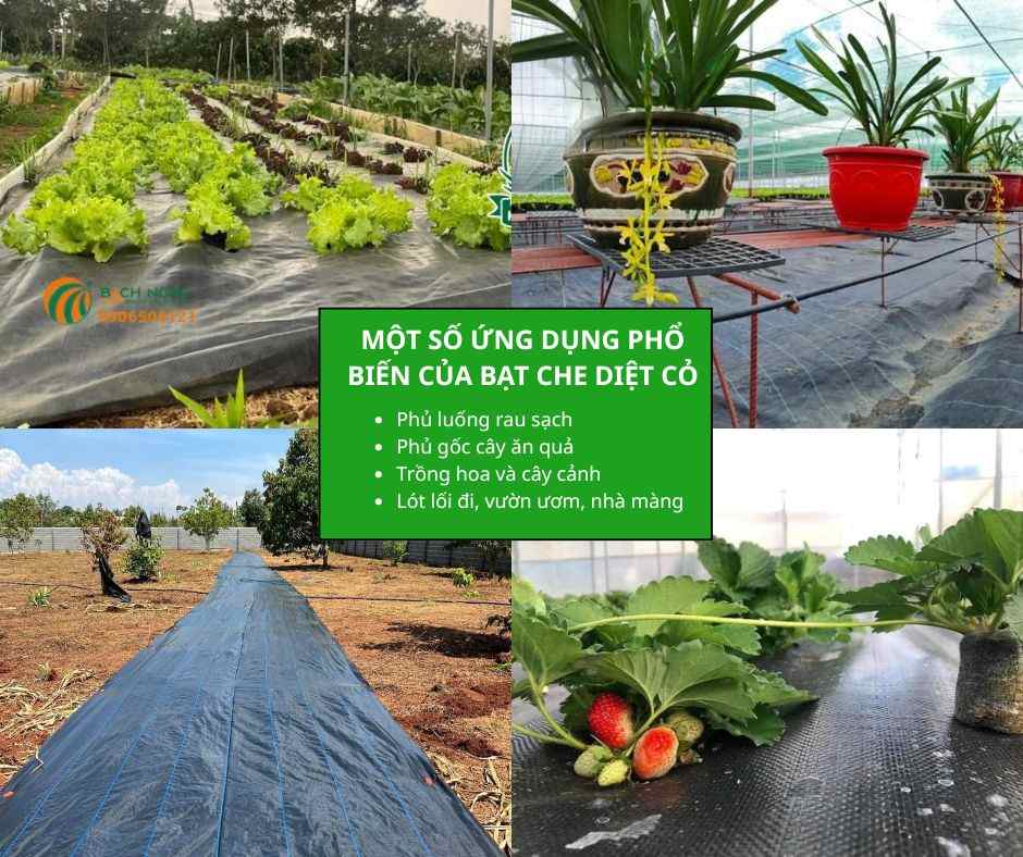 Một số ứng dụng phổ biến của bạt che diệt cỏ