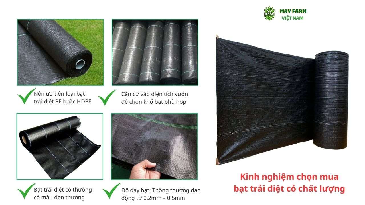 Kinh nghiệm chọn mua bạt trải diệt cỏ chất lượng