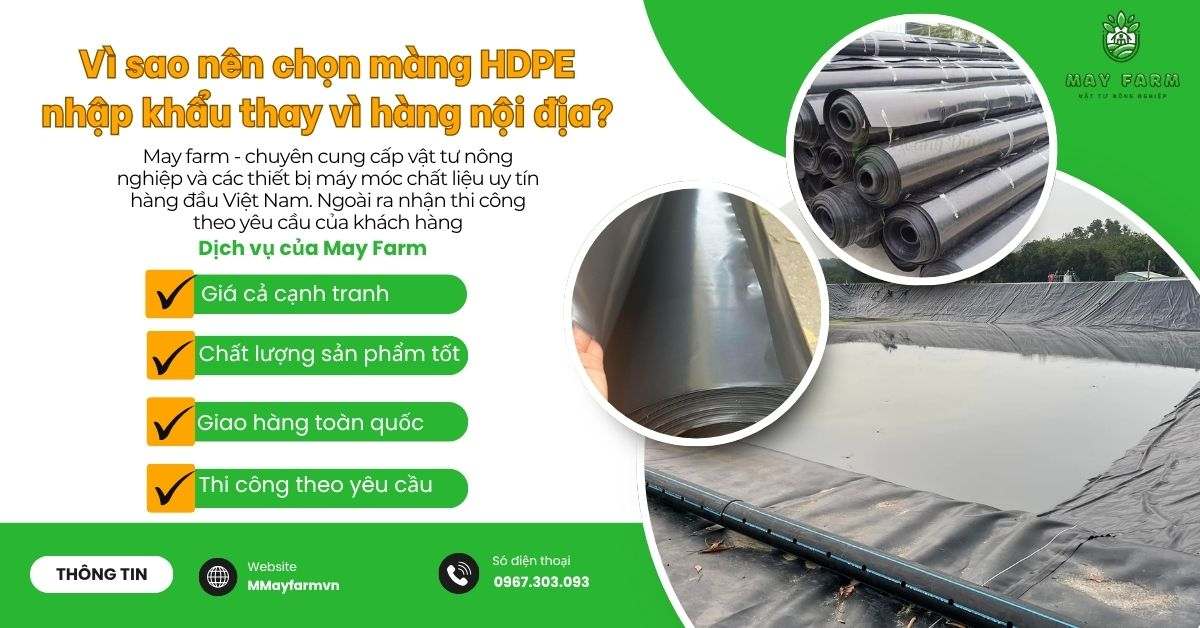 Vì sao nên chọn màng HDPE nhập khẩu thay vì hàng nội địa?