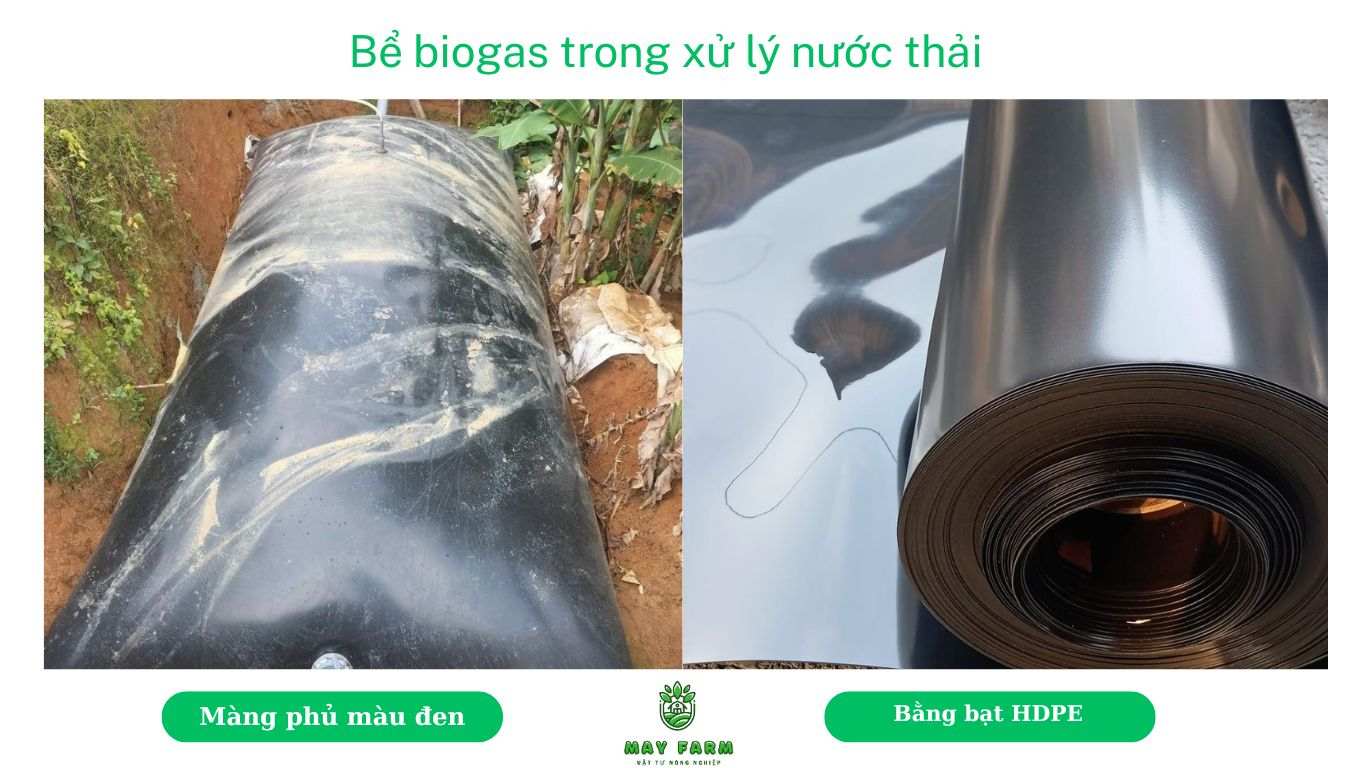 Bể biogas trong xử lý chất thải