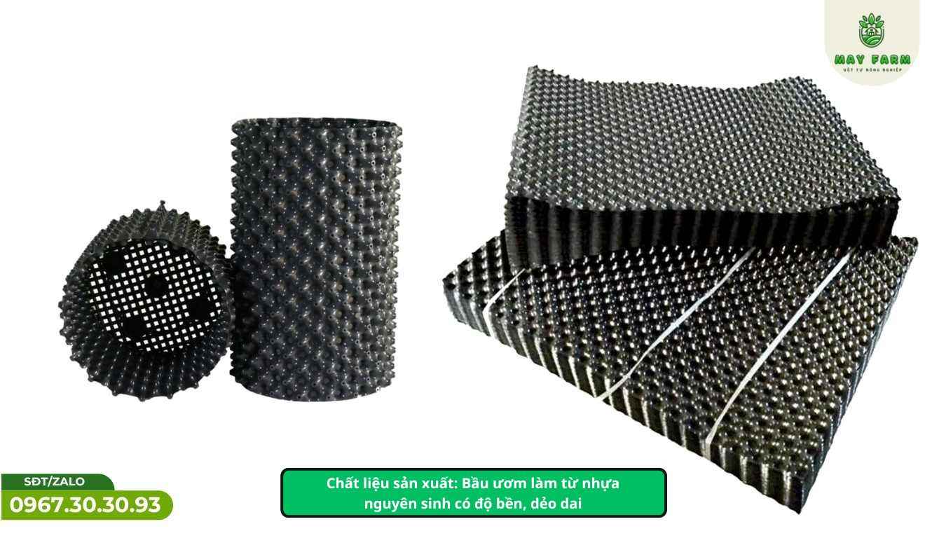Các yếu tố ảnh hưởng đến giá bầu ươm