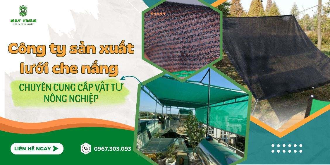 Công ty sản xuất lưới che nắng: Đối tác tin cậy cho mọi công trình