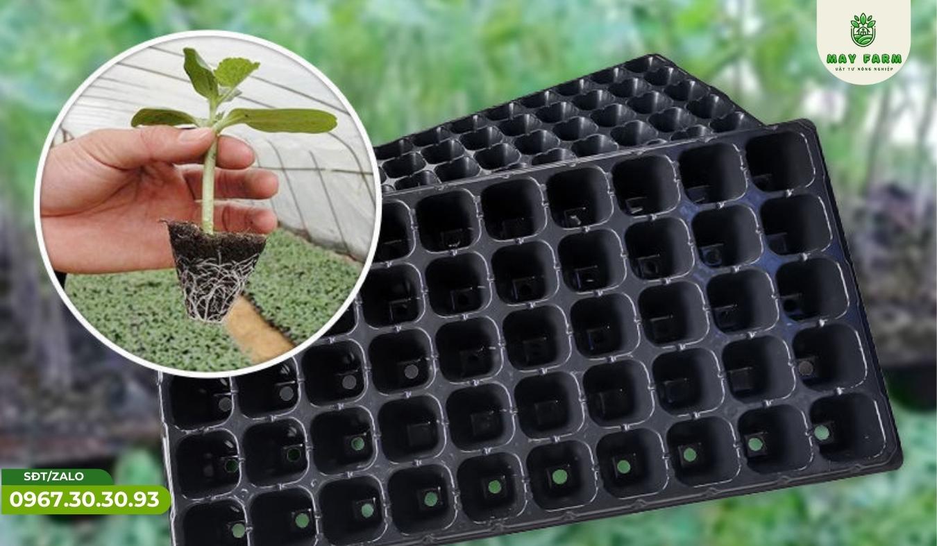 Khay Ươm Hạt Giống Thủy Canh Giá Rẻ, Chất Lượng  