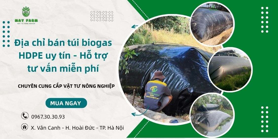 Địa chỉ bán túi biogas HDPE uy tín - Hỗ trợ tư vấn miễn phí