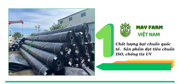 May Farm - Đơn vị chuyên bán bạt lót hồ cá koi hàng đầu