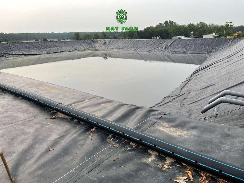  Hiệu quả sử dụng được kiểm chứng thực tế