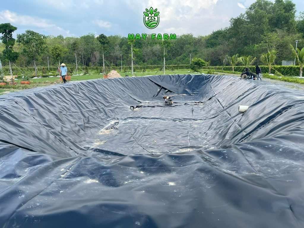 Ưu điểm nổi bật của lớp màng HDPE 0.3mm - Chống tia UV