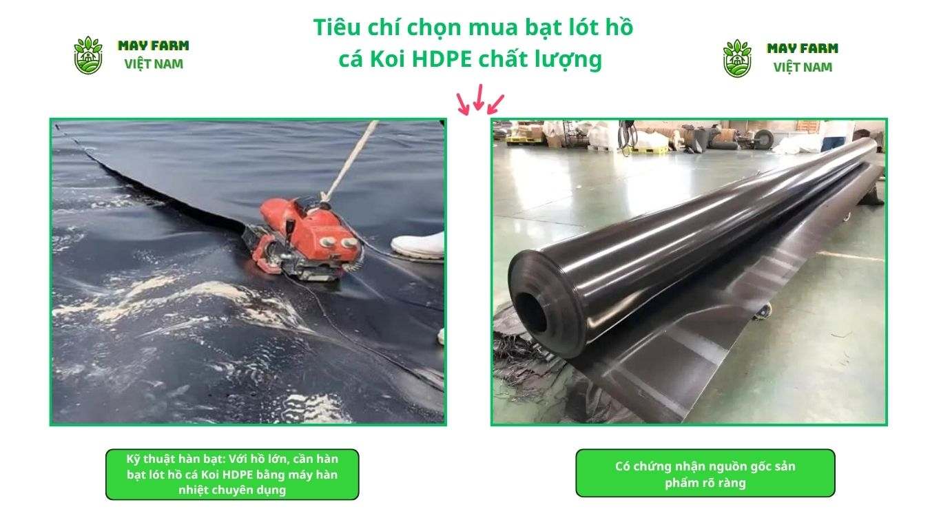 Tiêu chí chọn mua bạt lót hồ cá Koi HDPE chất lượng