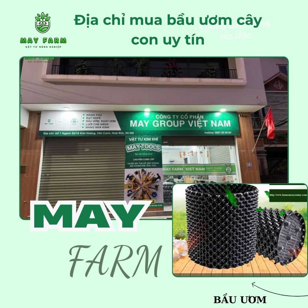 Địa chỉ mua bầu ươm cây con uy tín