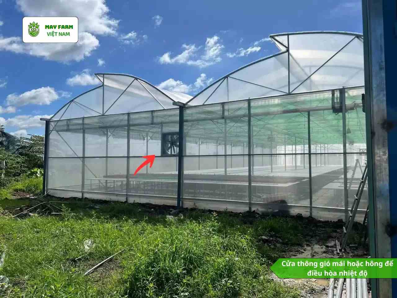Các yếu tố quan trọng khi xây dựng nhà kính trồng rau