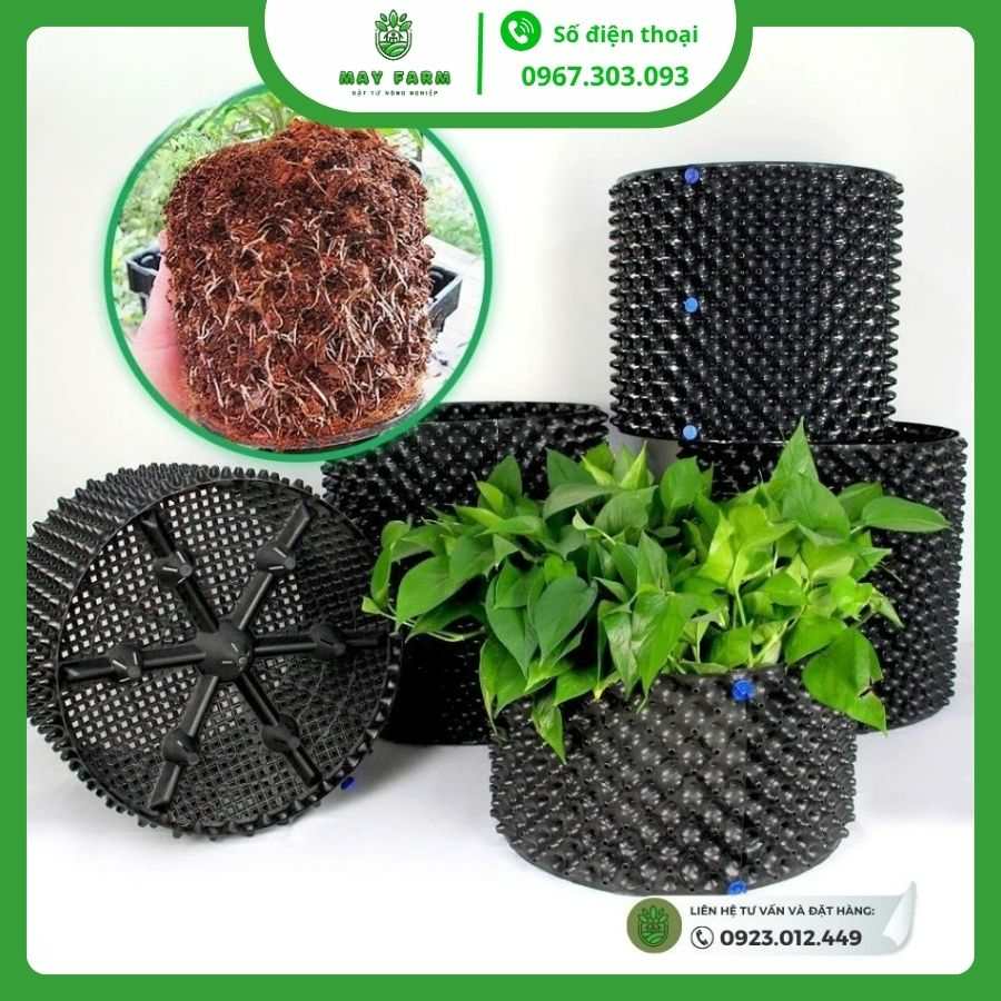 Bầu ươm cây V7 đủ loại, đủ kích thước ( Cuộn 50m)