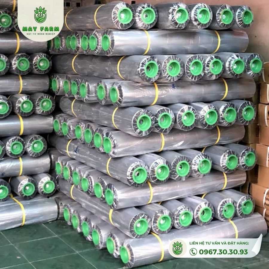Màng phủ nông nghiệp khổ lớn