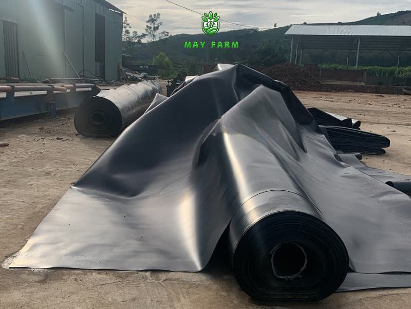 Đặc điểm nổi bật của tấm nhựa HDPE là gì