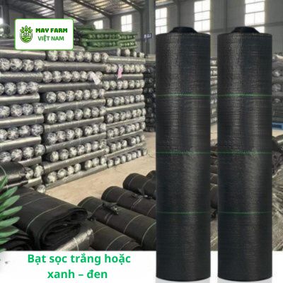 Các loại bạt trải diệt cỏ phổ biến hiện nay