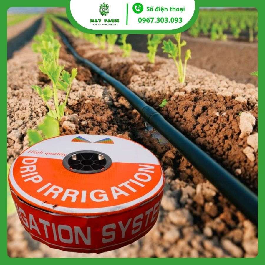 Băng Tưới Nhỏ Giọt Chất Lượng Cao, Đủ Loại, Giá Tốt