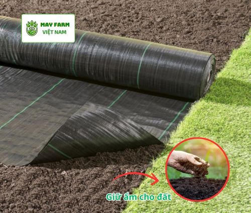 Vì sao nên dùng bạt trải diệt cỏ nông nghiệp