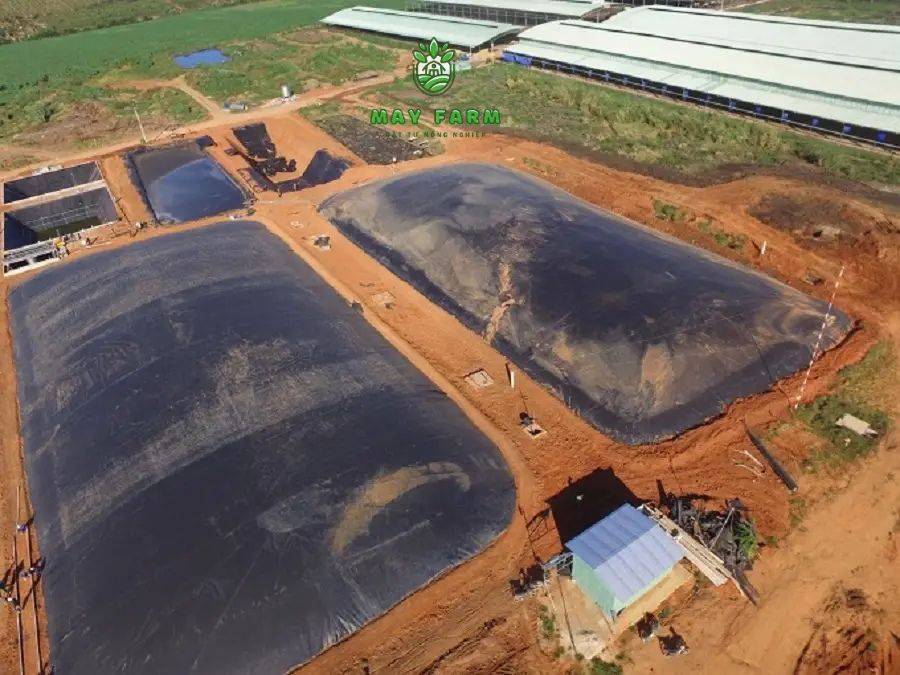 Hệ thống túi biogas cải tiến - phù hợp cho quy mô lớn
