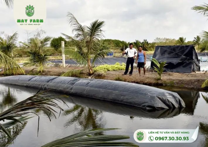 Ưu điểm của túi khí biogas, bể biogas bằng bạt HDPE