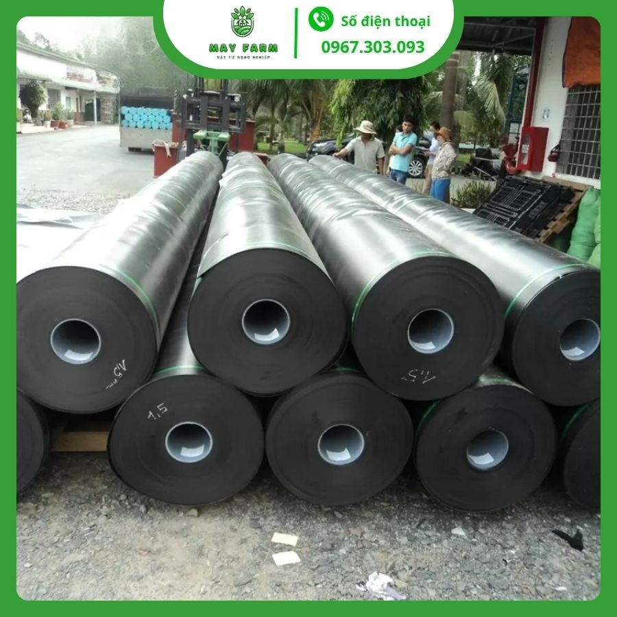 Bạt HDPE chống thấm sân thượng