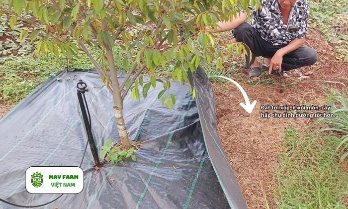 Vì sao nên dùng bạt che cỏ thay cho làm cỏ thủ công