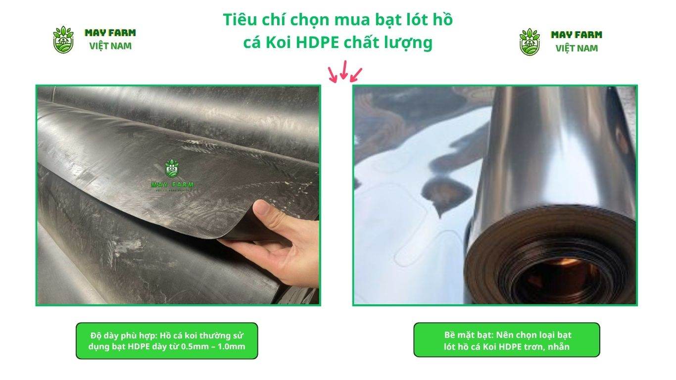 Tiêu chí chọn mua bạt lót hồ cá Koi HDPE chất lượng
