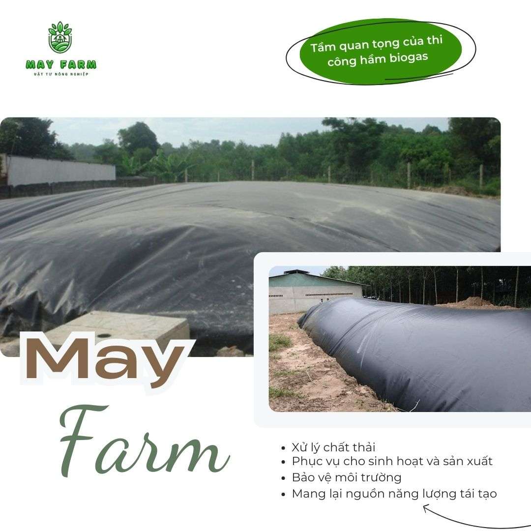 Thi công hầm biogas