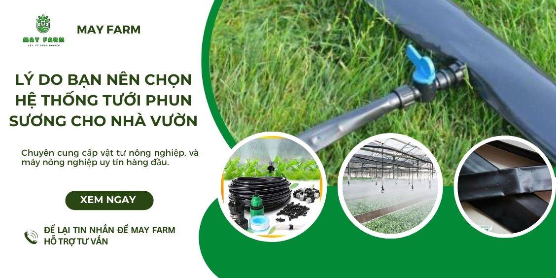 Lý do bạn nên chọn hệ thống tưới phun sương cho nhà vườn