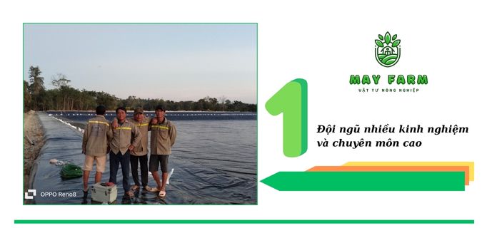 Dịch vụ thi công hồ cảnh quan sân vườn - Đội ngũ nhiều kinh nghiệm