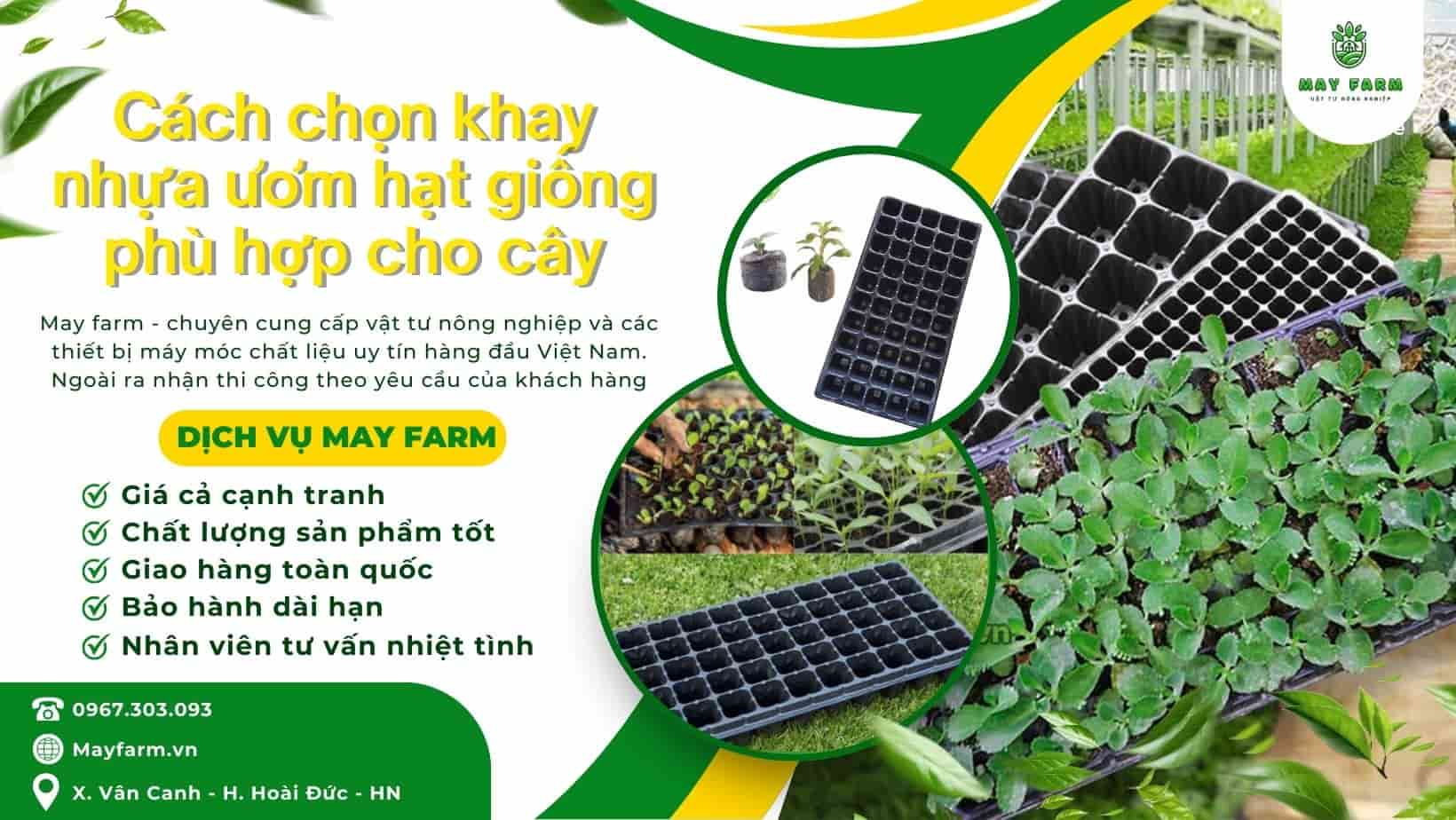Cách chọn khay nhựa ươm hạt giống phù hợp cho cây