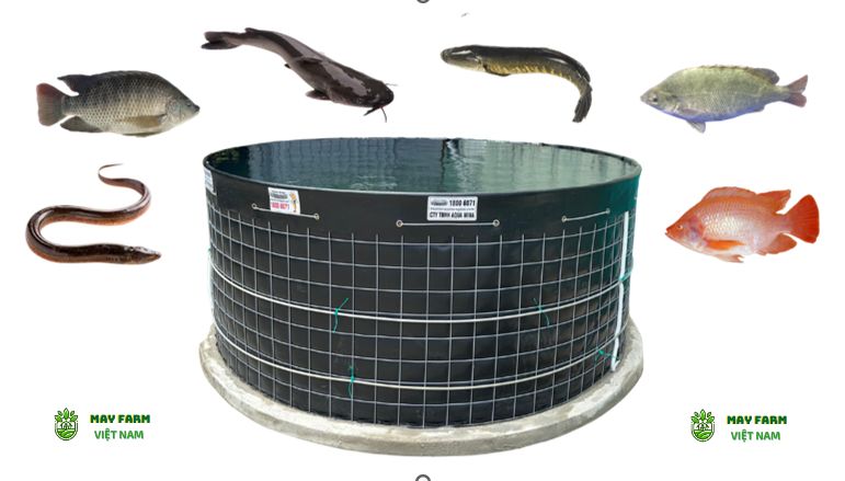  Ứng dụng thực tế của bể bạt tròn HDPE