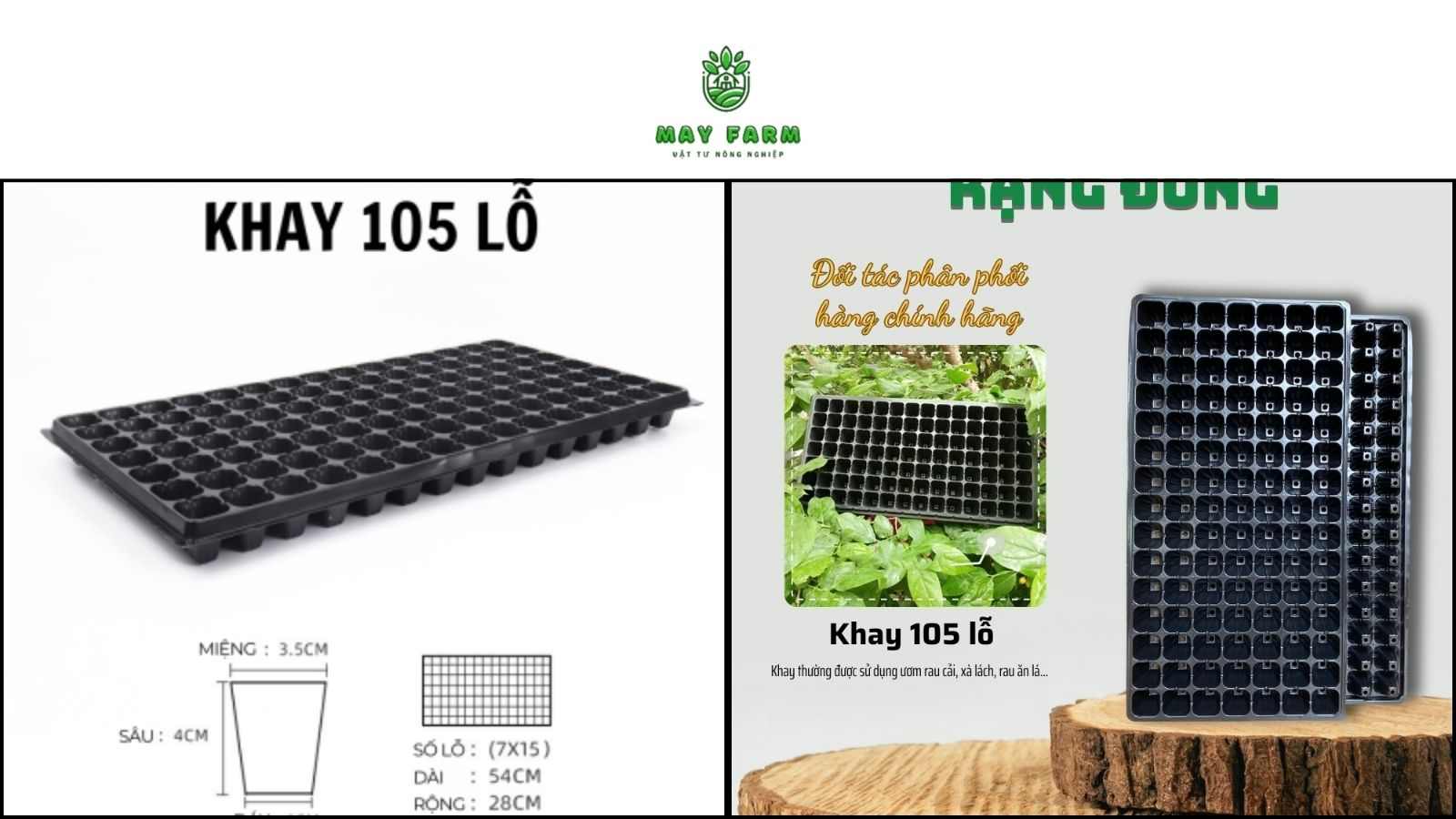 Khay ươm cây giống 105 lỗ 