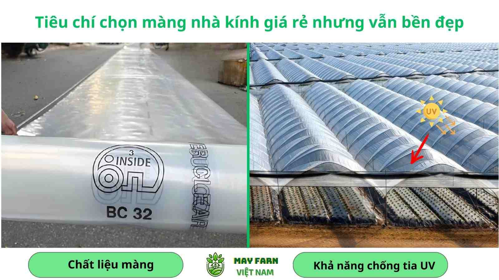 Tiêu chí chọn màng nhà kính giá rẻ nhưng vẫn bền đẹp