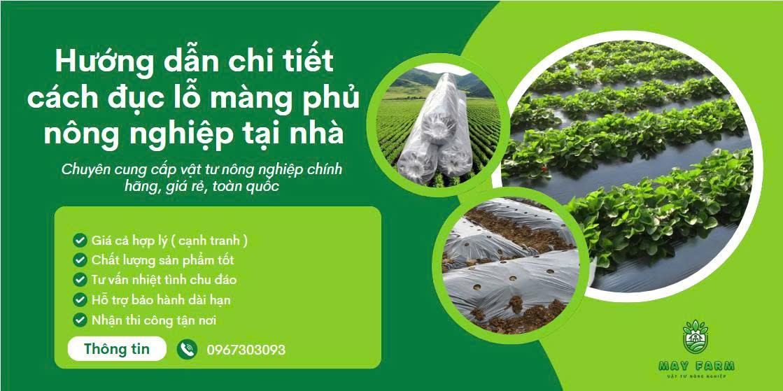 Hướng dẫn chi tiết cách đục lỗ màng phủ nông nghiệp tại nhà