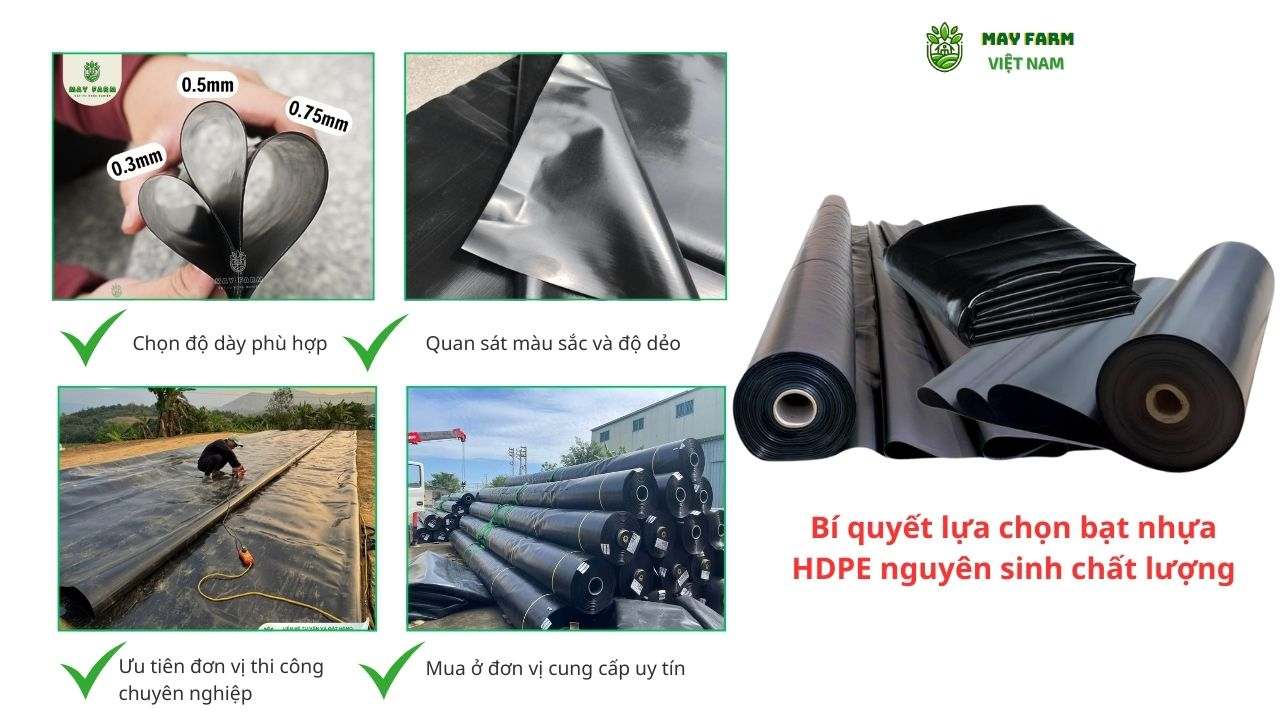 Bí quyết lựa chọn bạt nhựa HDPE nguyên sinh chất lượng