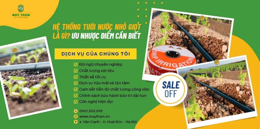 Hệ thống tưới nước nhỏ giọt là gì Ưu nhược điểm cần biết