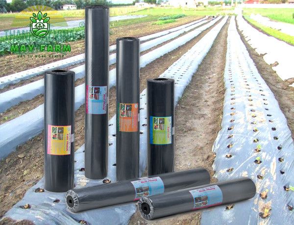Chất liệu và độ bền của màng phủ chống cỏ dại