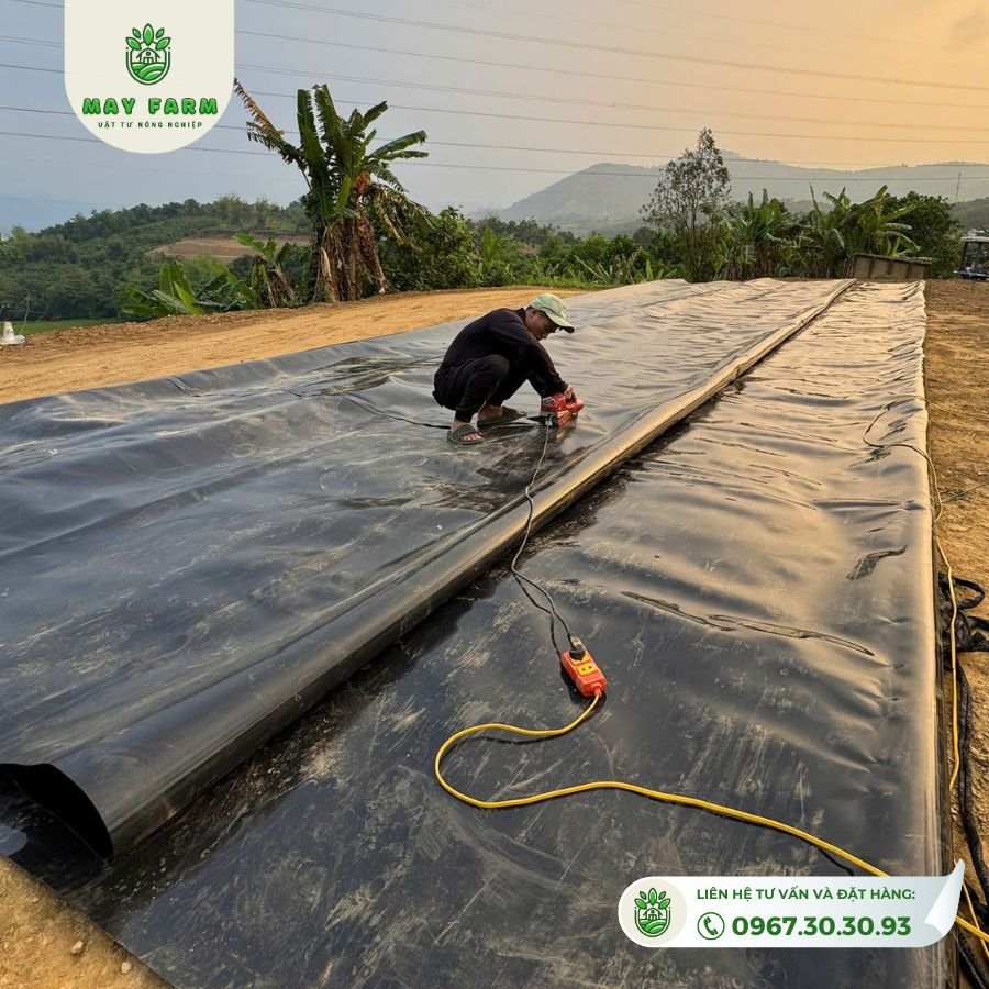 . Lý do nên chọn bạt lót HDPE cho hồ cá?
