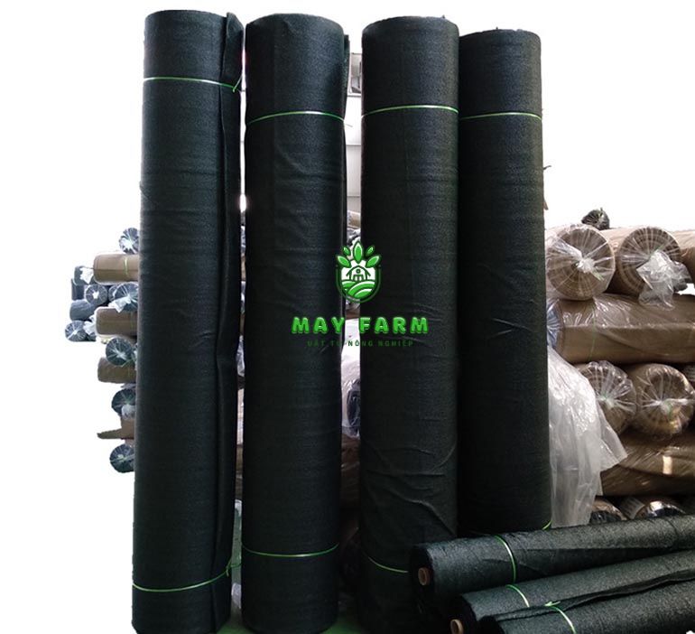 Tiêu chi khi chọn lưới che nắng dệt kim - Kích thước và kiểu dáng