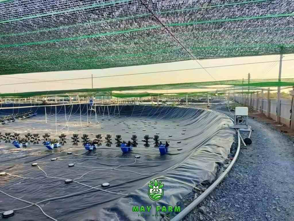 Ứng dụng bạt HDPE 0.3mm đến 2mm