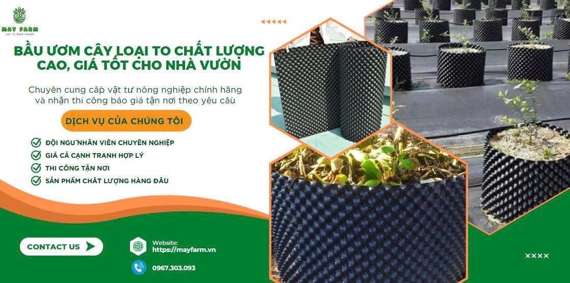 Bầu ươm cây loại to chất lượng cao, giá tốt cho nhà vườn