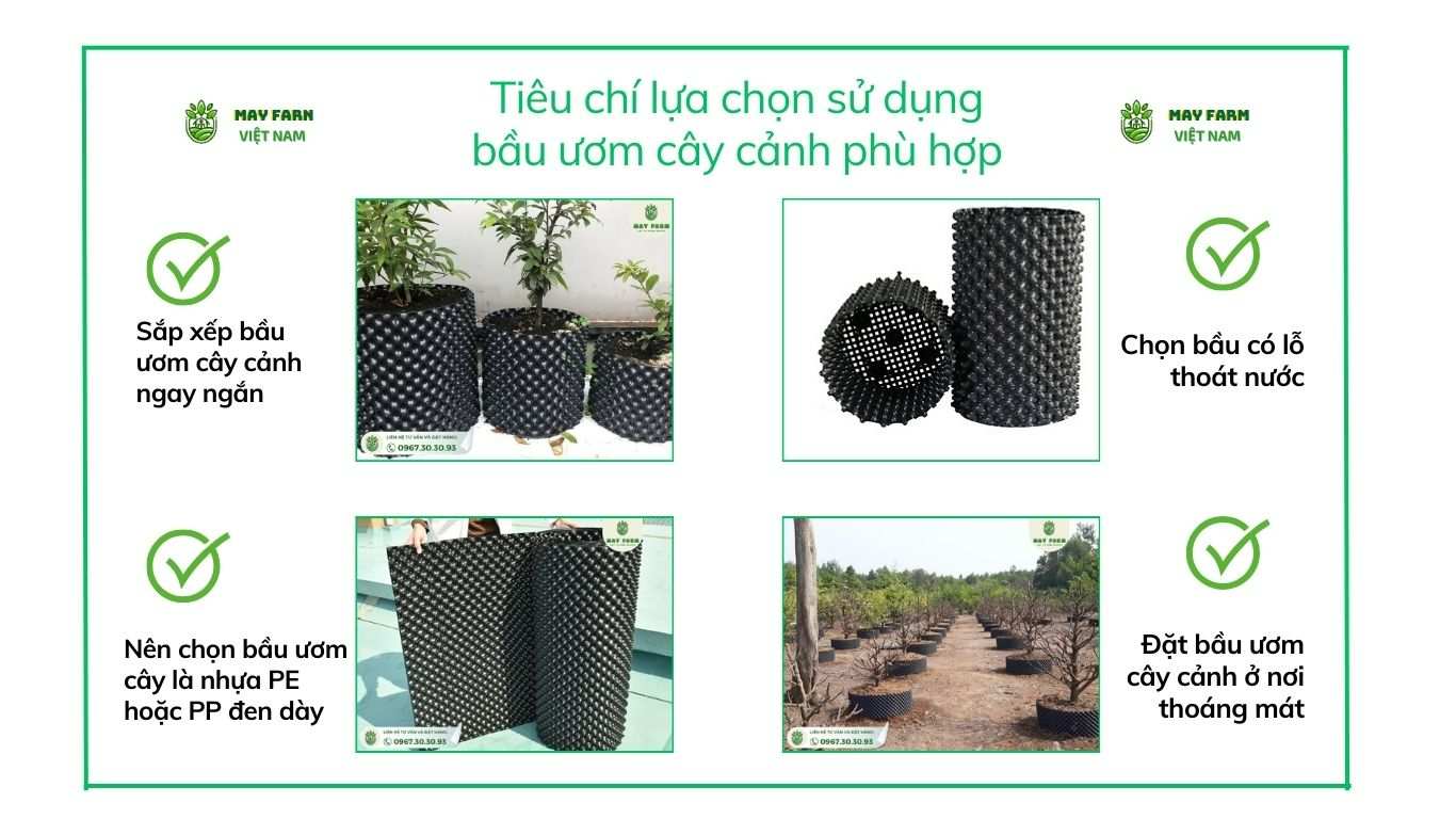 Tiêu chí lựa chọn sử dụng bầu ươm cây cảnh phù hợp