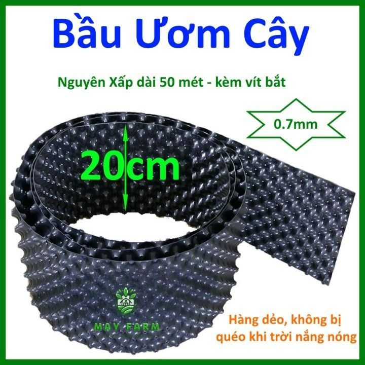Bầu ươm cây cảnh 20cm