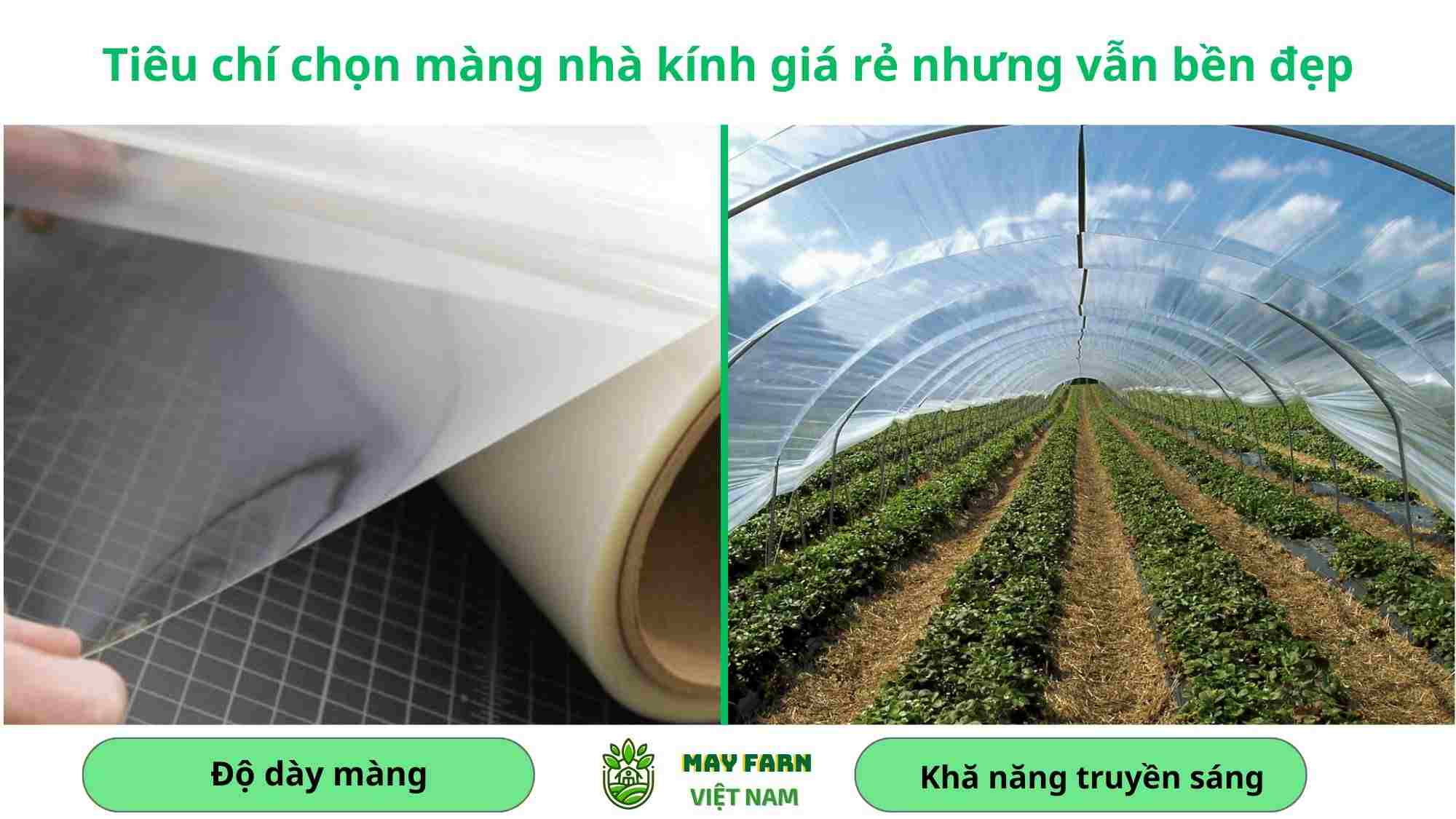 Tiêu chí chọn màng nhà kính giá rẻ nhưng vẫn bền đẹp