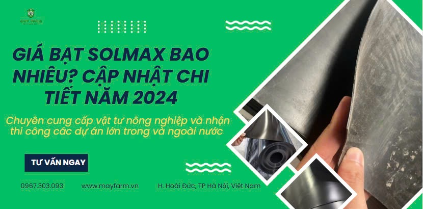 Giá bạt Solmax bao nhiêu? Cập Nhật Chi Tiết Năm 2024