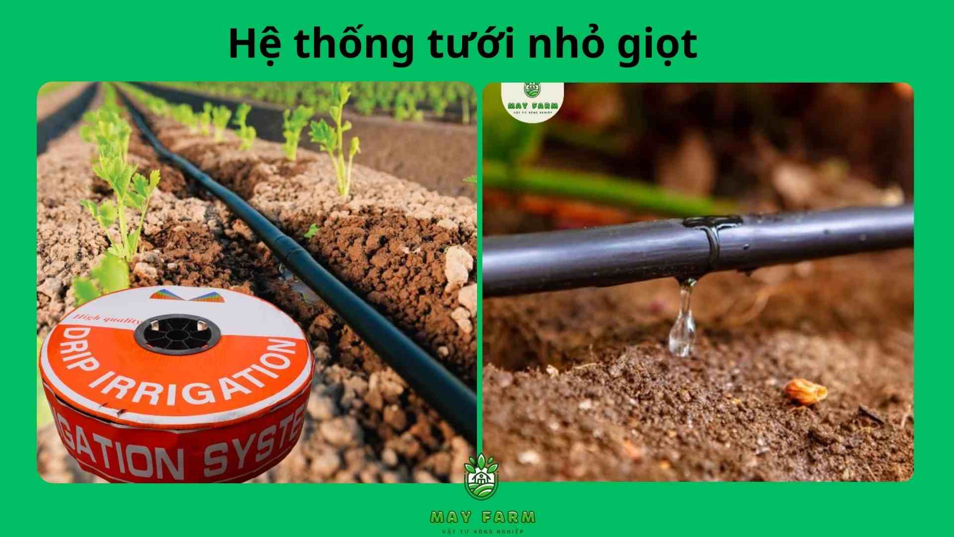 Hệ thống tưới cho cây nhỏ giọt