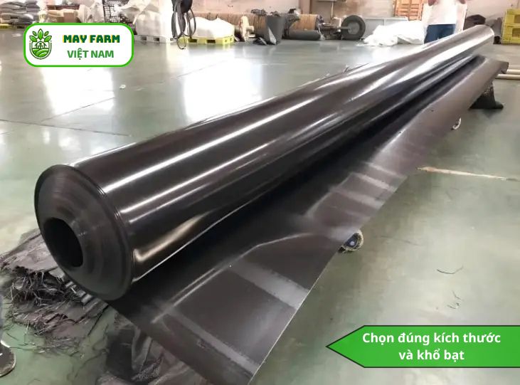  Bí quyết chọn bạt lót ao tôm tiết kiệm và bền nhất
