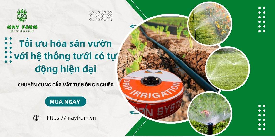 Tối ưu hóa sân vườn với hệ thống tưới cỏ tự động hiện đại